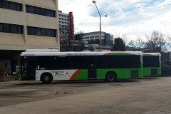 Bus597-WodenBs-2