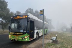Bus597-MatinaSt-1
