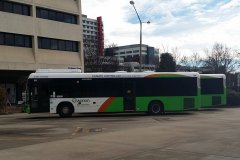 Bus597-WodenBs-2