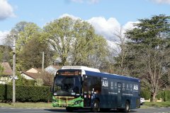 Bus598-GooreenSt-1