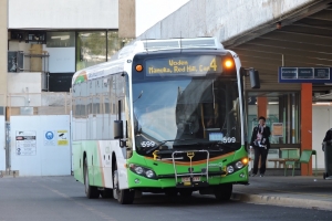BUS 599