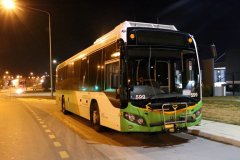 Bus599-ARolfe-1