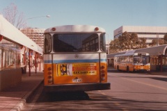 Bus-600-City-Interchange