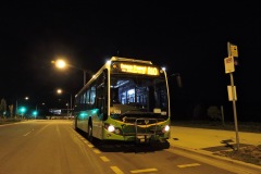 Bus-603-Holborow-Avenue