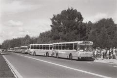 Bus-604