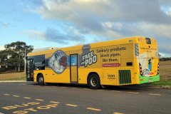 Bus605-Chapman-1