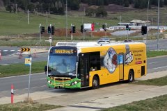Bus605-JohnGortonDr-1