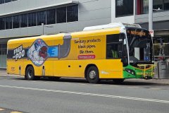 Bus605-MortSt