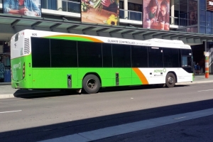 BUS 605