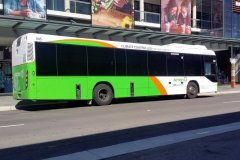 Bus605-Hibberson-1