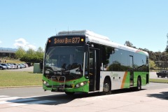 Bus-606-Mackillop-CLG-Isabella-Plains