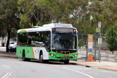 Bus606-WebberCr-1
