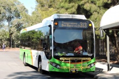 Bus-607-Kippax-Terminus