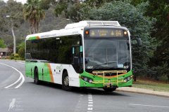 Bus607-Bugden-1
