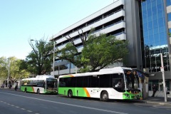 Bus-613-and-Bus-335-City-Bus-Station
