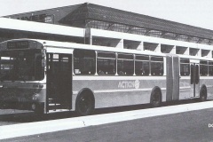 Bus-614-Benjamin-Way