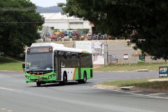 Bus614-Gladstone-1