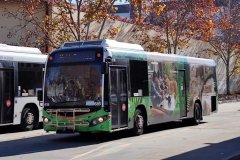 Bus616-TuggIc-1