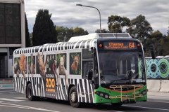 Bus616-WodenIc-1