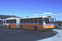 Bus-617-Racecourse