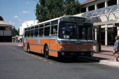 Bus619-AlingaSt-1