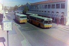 Buses 355 and 620