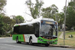 Bus-620-White-Crescent