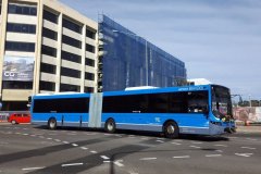 Bus621-Cooyong-1