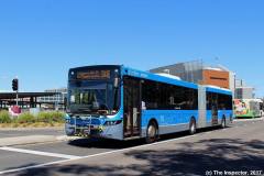 Bus621-Lathlain-1