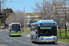 Bus-625-Callam-Street-with-Bus-580-