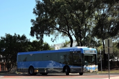 Bus-625-Hardwick-Crescent