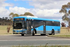 Bus636-Chapman-1