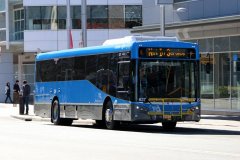 Bus637-CityBs-1