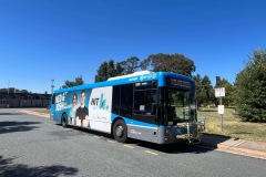 Bus 638 - Burke Cres