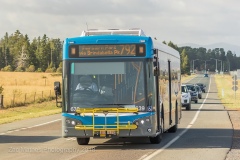 Bus639-SchergerDr-1