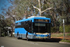 Bus641-Melbourne-Avenue