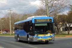 Bus-646-Antill-Street