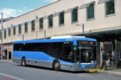 Bus647-CityBs-1