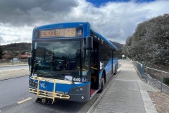 Bus 649 - Box Hill Ave