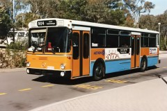 Bus-651-Black-Mountain-Drive