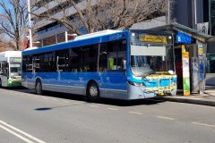 Bus652-CityBs-2