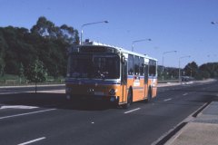 Bus-653-Launceston-Street