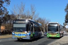Bus-655-Cowper-Street-with-Bus-567-