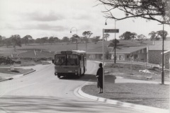 Bus-657-Amagula-Ave