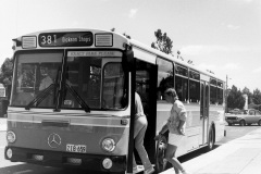 Bus-659-2