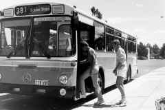 Bus-659-3