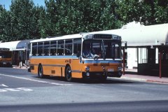 Bus-659-City-Interchange