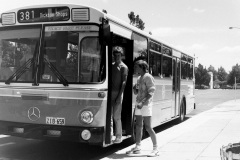Bus-659