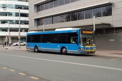 Bus661-CityBs-1