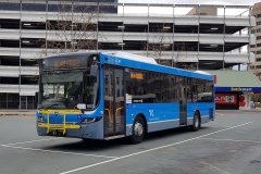 Bus661-CityWest-1